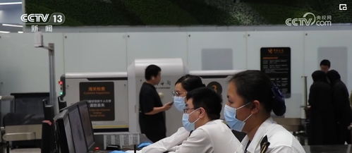科技賦能智慧廣交會(huì) 即查即放、一網(wǎng)通辦，信息技術(shù)服務(wù)助力貿(mào)易便利化新高度